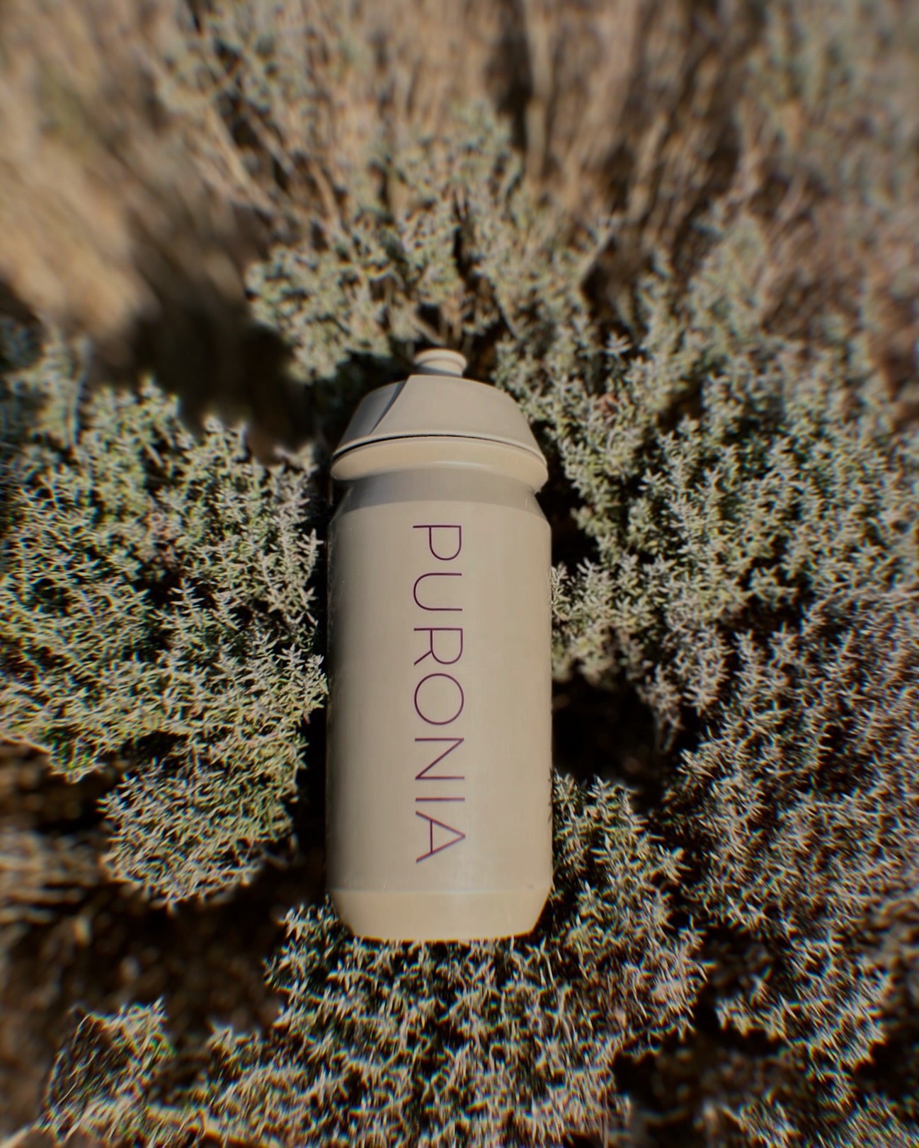 Biodegradable Water Bottle
