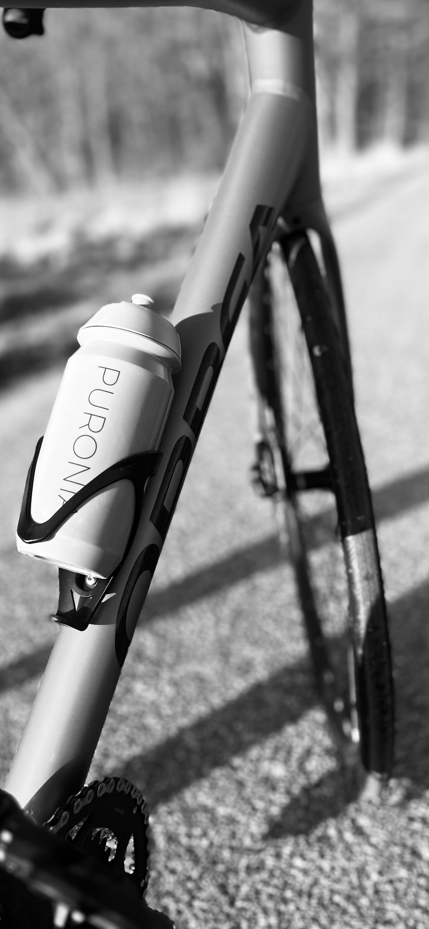 Biodegradable Water Bottle